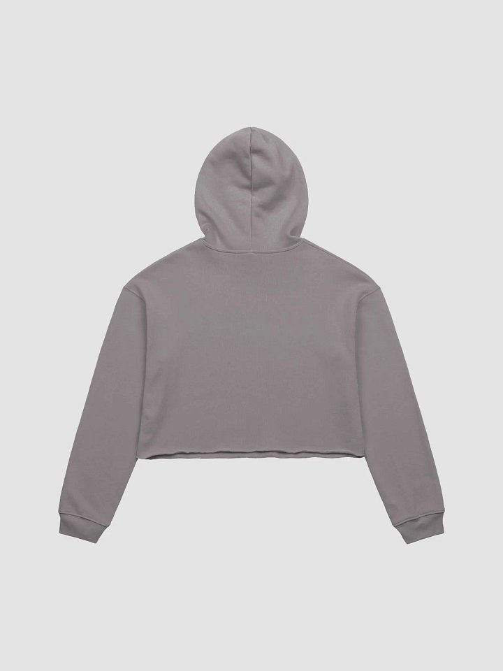 Disabled Queer Still Here fleece crop hoodie product image (14)