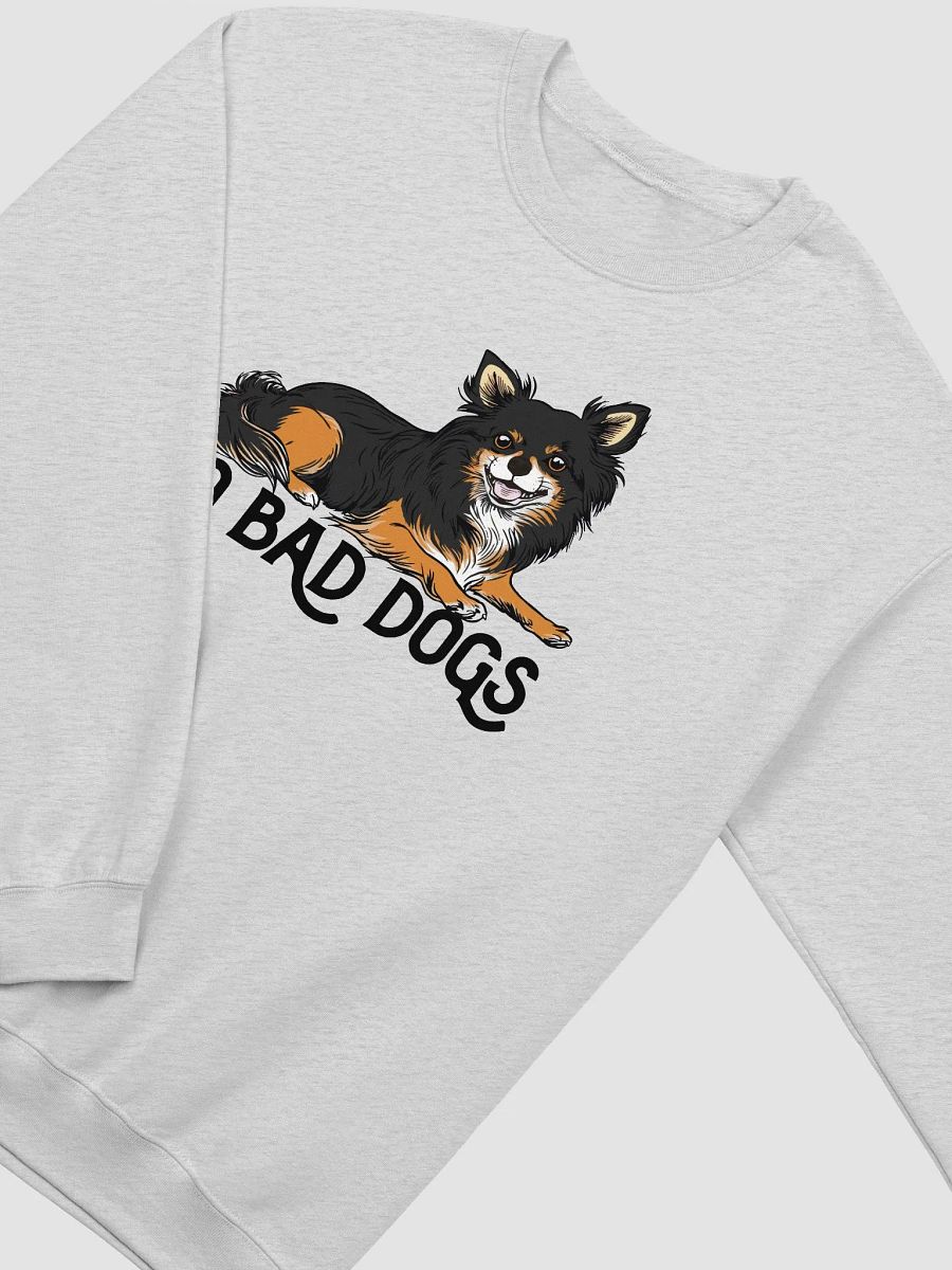 No Bad Dogs Sweatshirt of a Chihuahua(Longhaired - Tricolor) | Funny Shirt for Chihuahua Paw-rents product image (26)