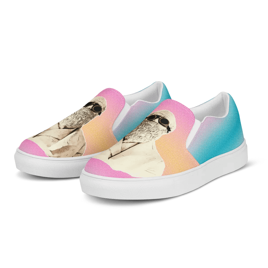 Darwinism Women's Slip-On Canvas Shoes product image (3)