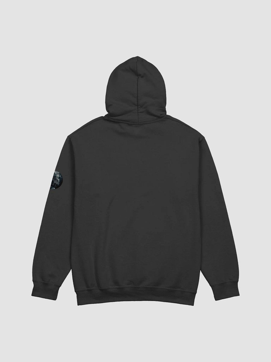 TT Hoody product image (4)