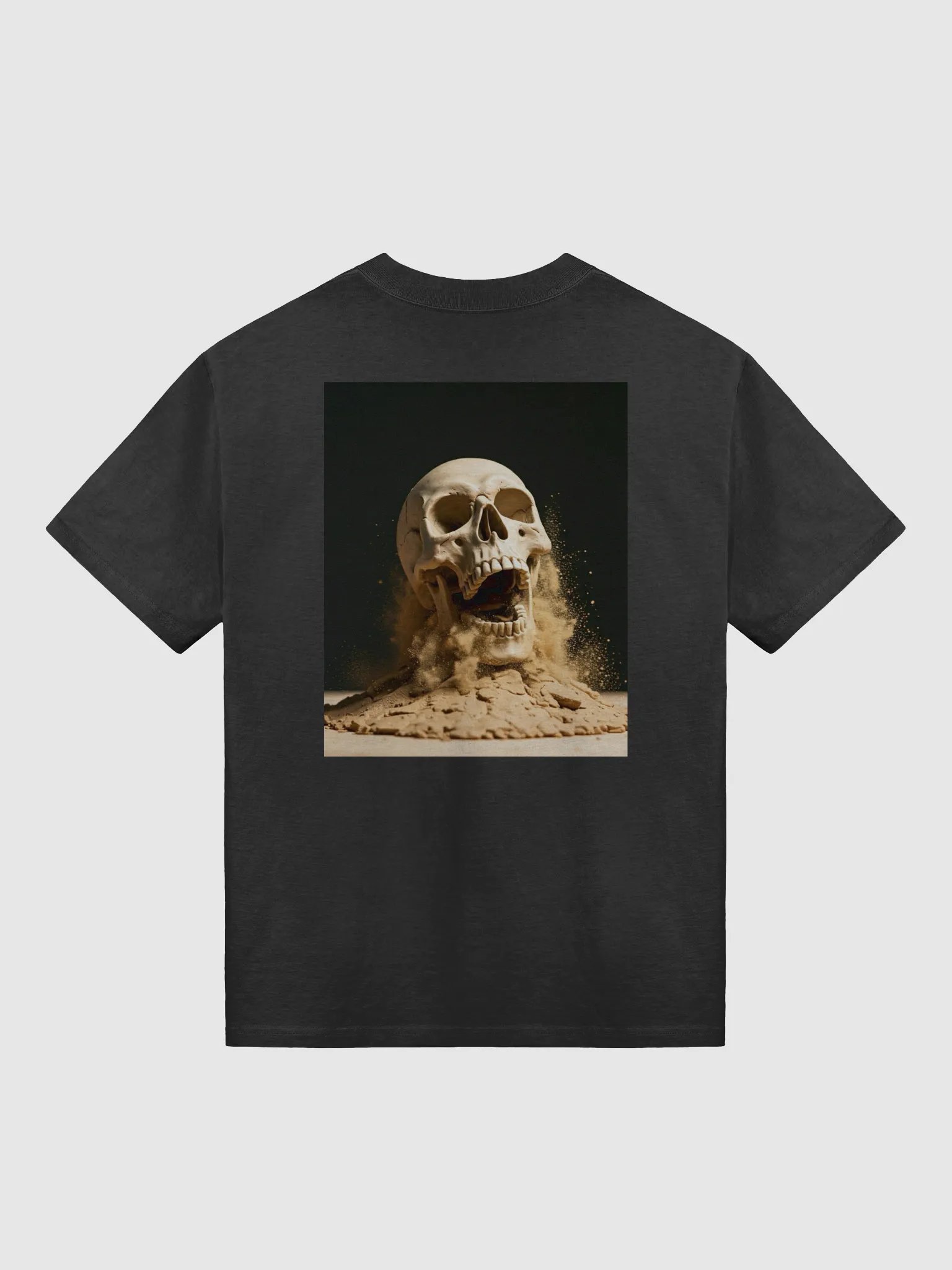 from dust to pixels product image (2)