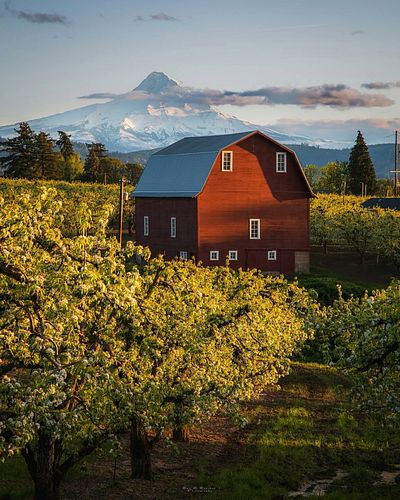 📸: @santu2photography 

“The red barn sunset”