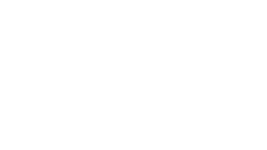 Steezir