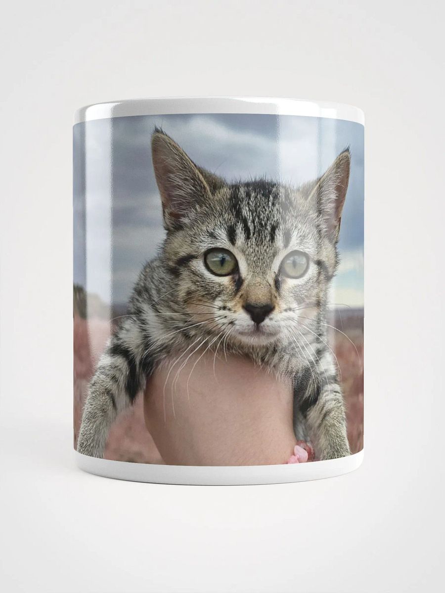 The Earl in Petrified Forest Mug product image (5)