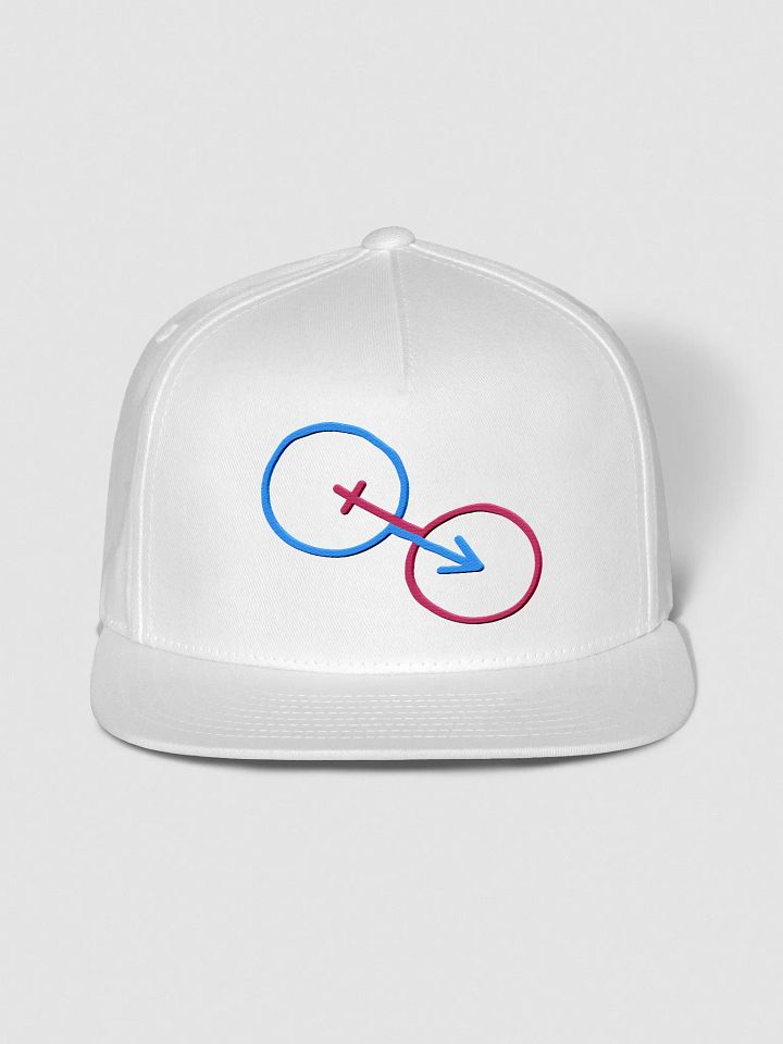 Natural Gender Connection Snapback Cap product image (1)