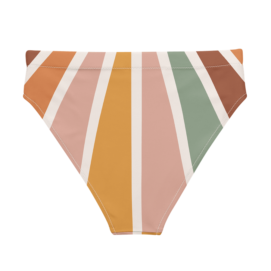 Radiant Retro Bikini Bottoms product image (2)