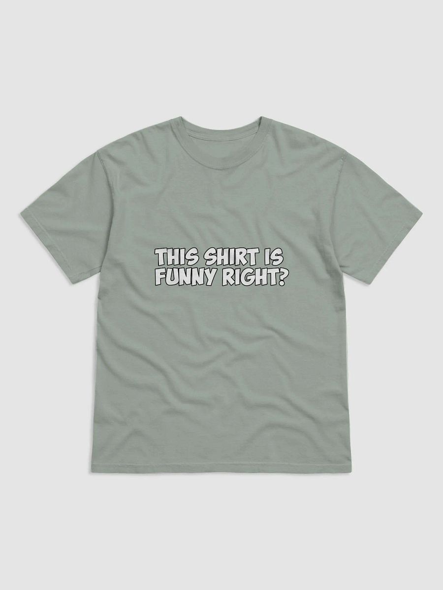 This Shirt Is Funny Right? product image (7)
