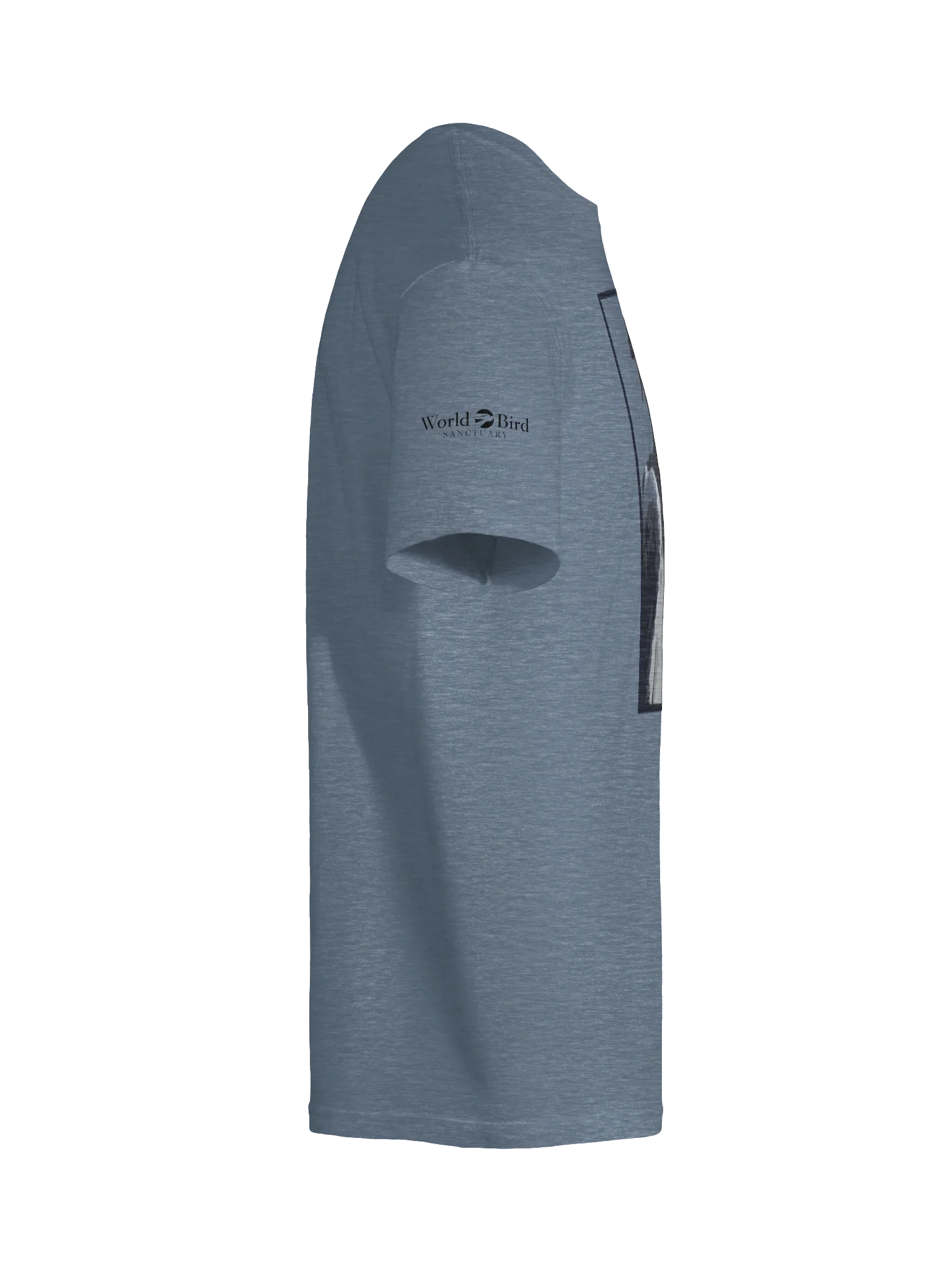 Alejandro the Harpy Eagle product image (12)