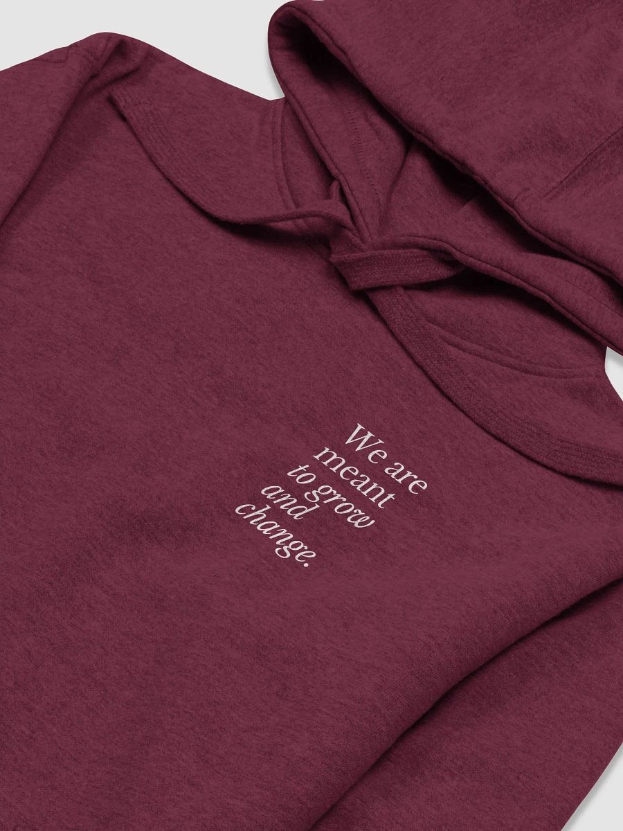 We are meant to grow and change hoodie product image (13)
