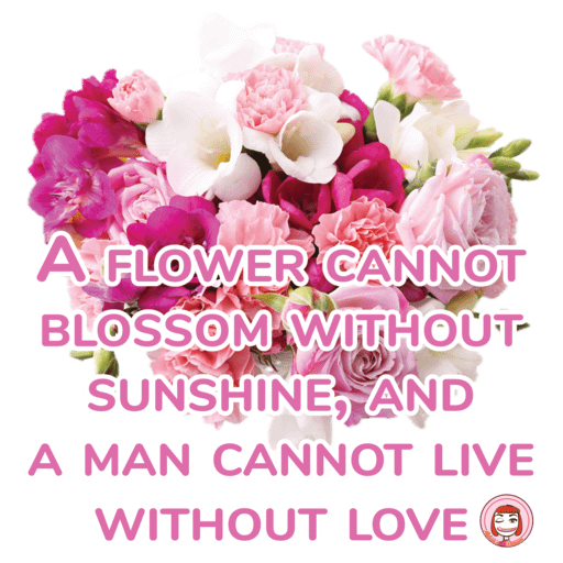 002-001 PNG 512px 300DPI RGB | A flower cannot blossom without sunshine, and a man cannot live without love product image (1)