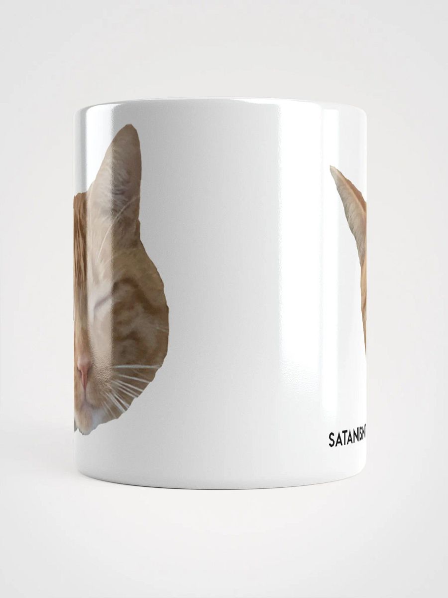 The Duality of Cat product image (5)