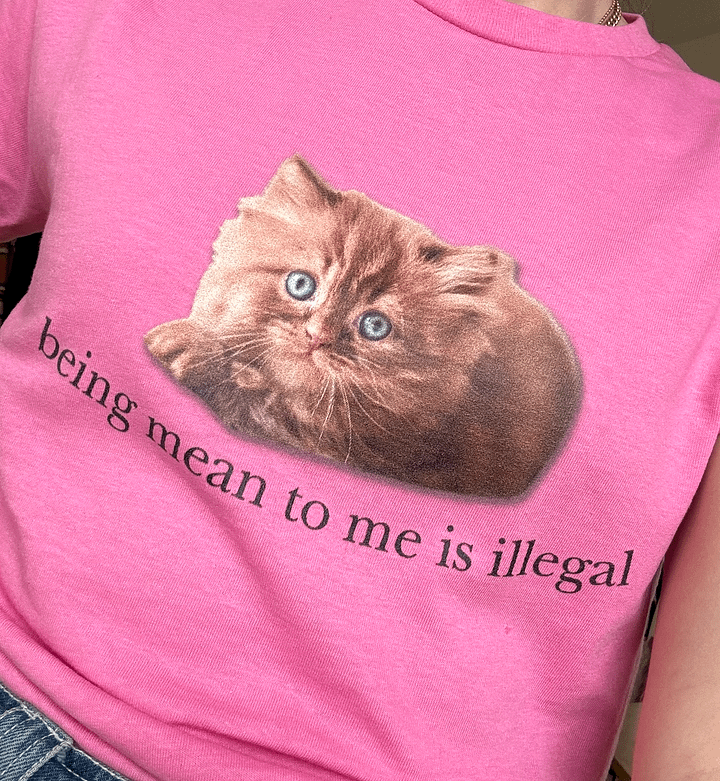 Being Mean To Me Is Illegal Unisex Tee 🎀 product image (2)