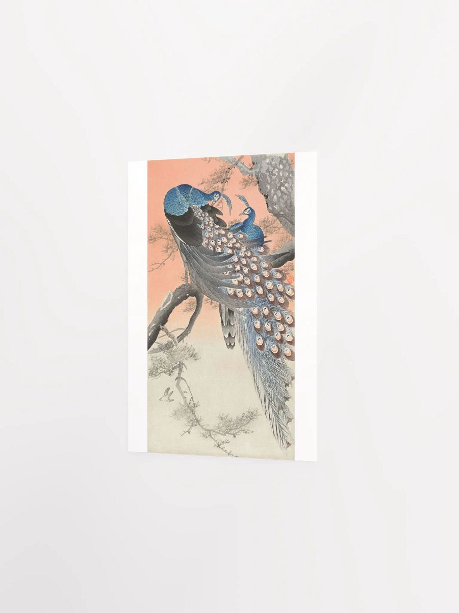 Two Peacocks on Tree Branch by Ohara Koson product image (2)