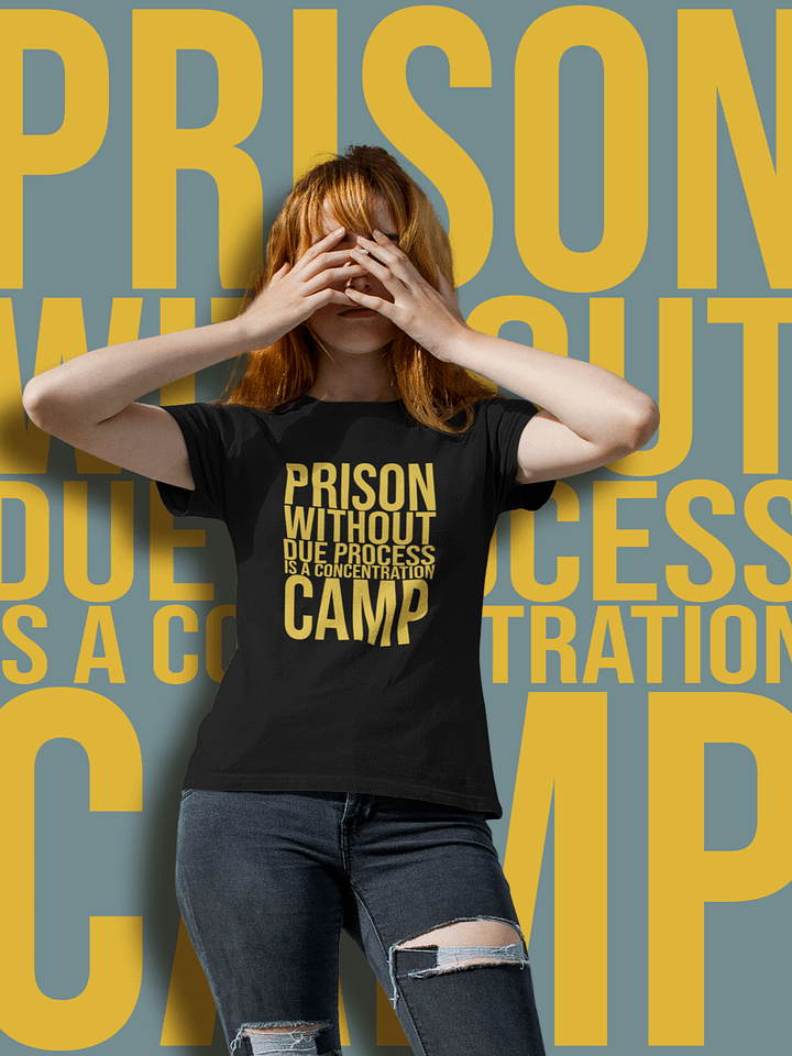 Due Process Concentration Camp T-Shirt - Being Liberal product image (1)