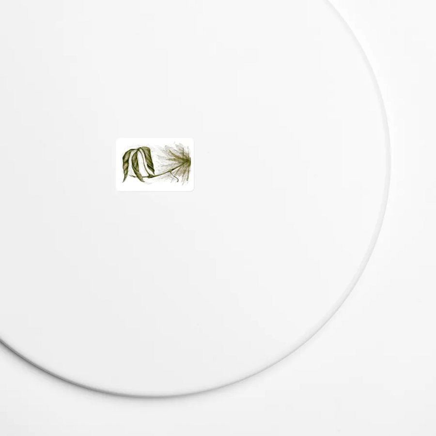 Magnet - 2023 Sketch 42 product image (7)