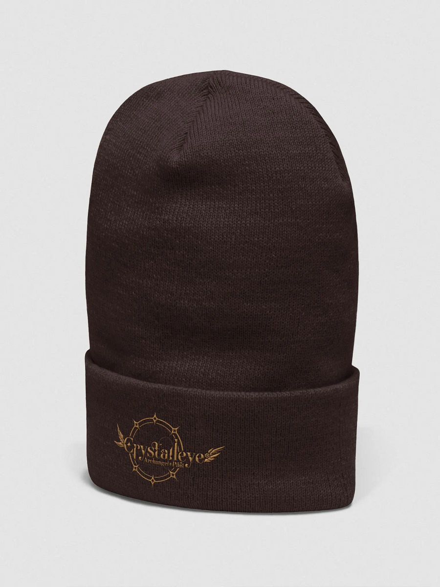 Logo Beanie product image (2)