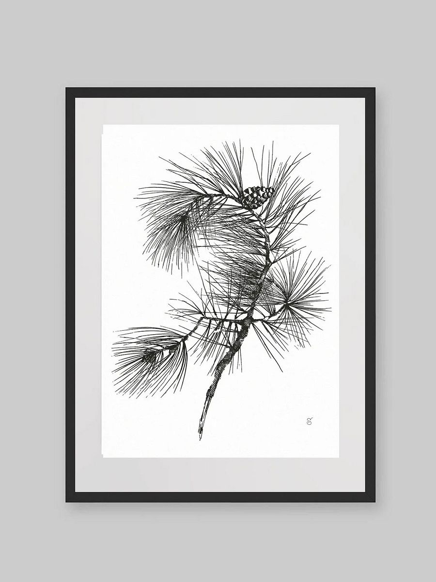 Whimsical Pine Branch Poster - Pine Branch product image (9)