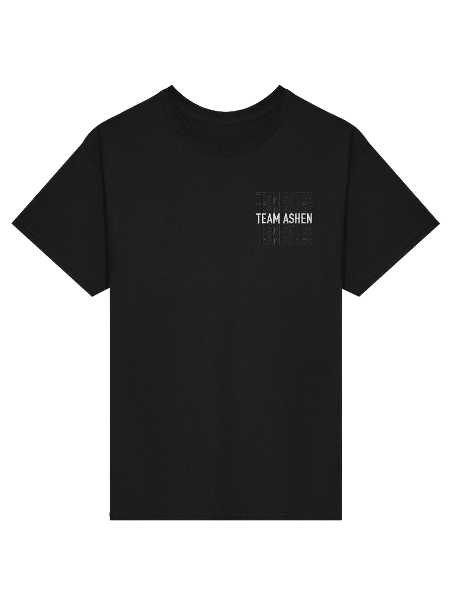 Team Ashen Embroidered Tee product image (1)