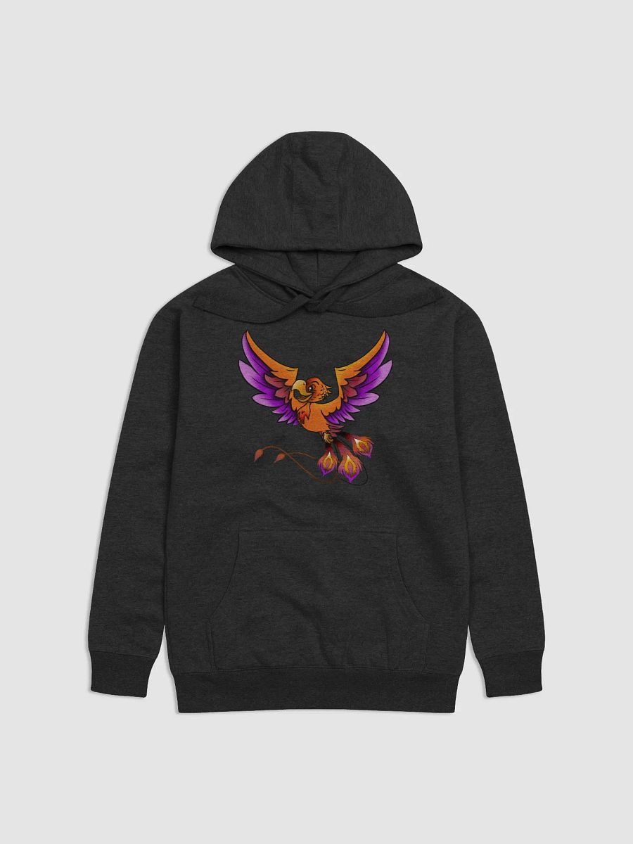 hoodies Phoenix product image (2)