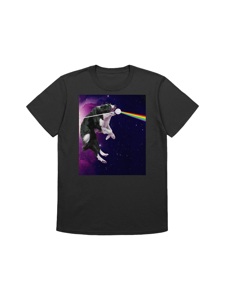 Border Collie Leaps Into The Best Album Cover Of All Time Classic Rock 'n' Roll T-shirt product image (1)
