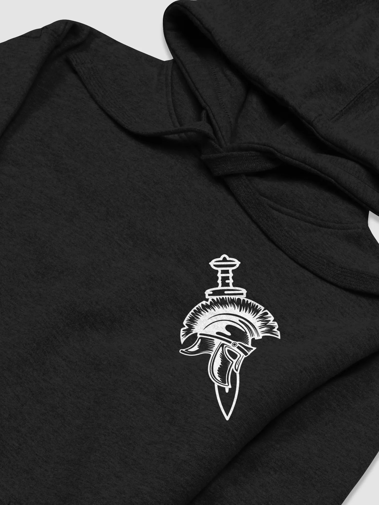 House Aegis | Hoodie product image (3)