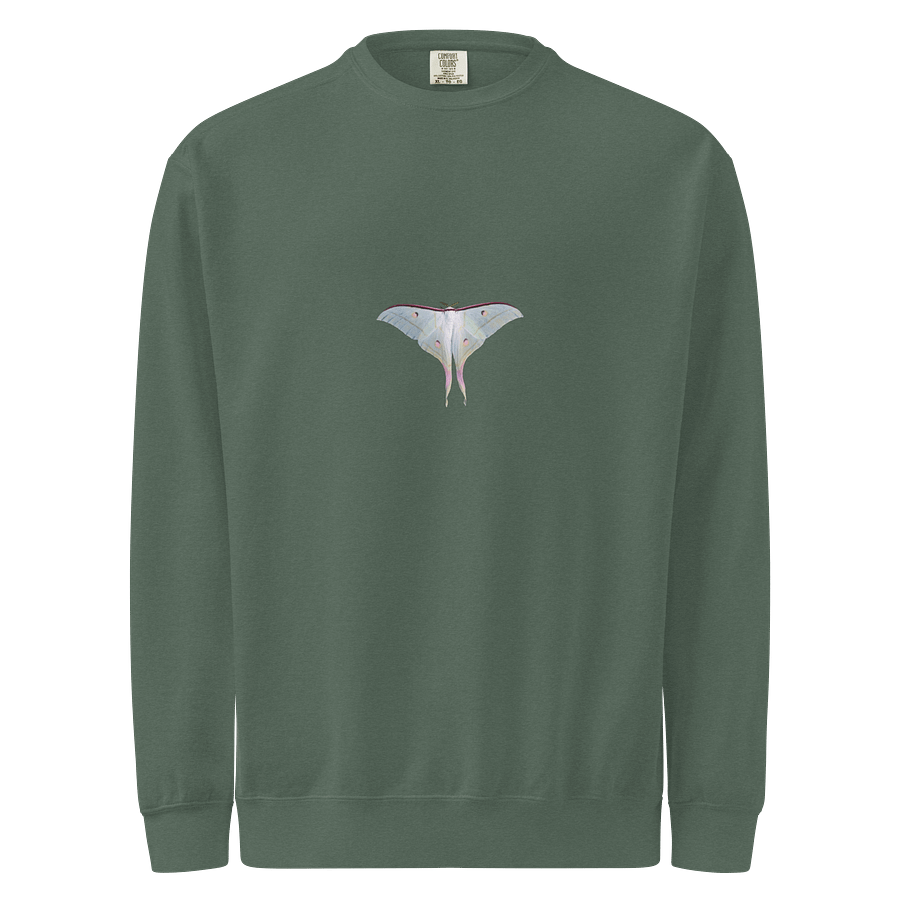 Luna Moth Unisex Sweatshirt product image (1)
