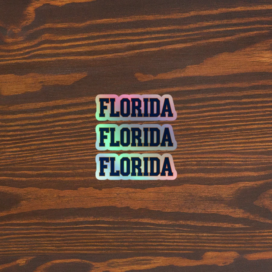 3 Florida Bold Holographic Sticker Set product image (4)