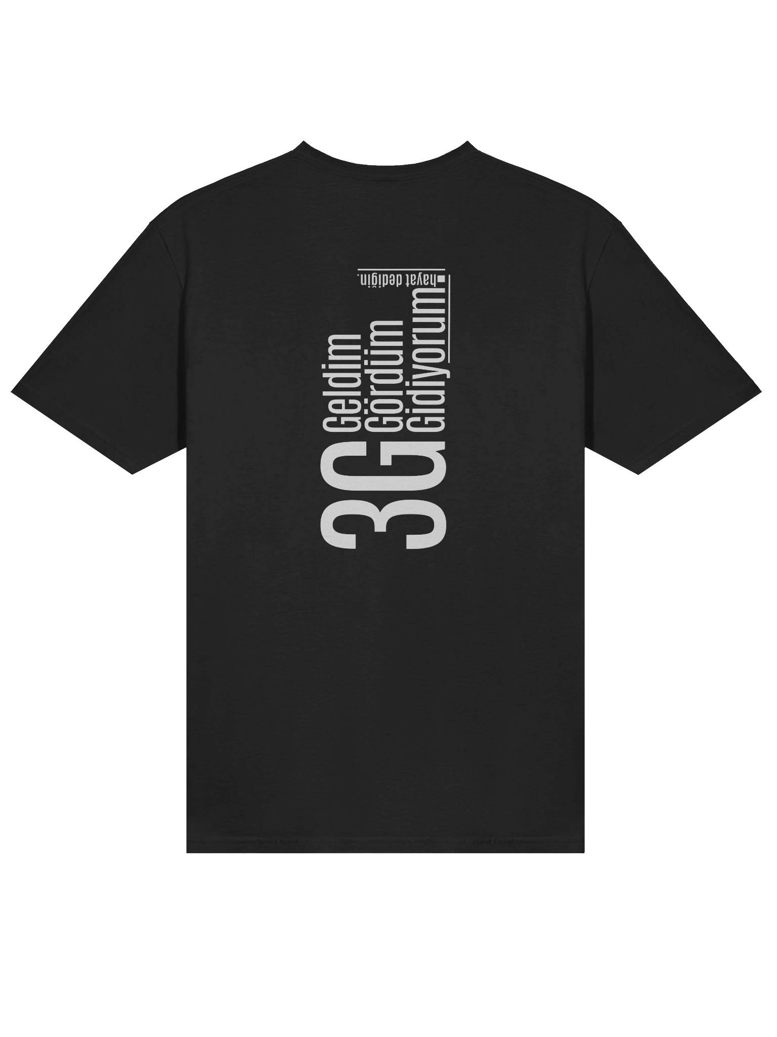 3G Minimalist Felsefe: "Geldim Gördüm Gidiyorum" Türkçe Tasarımlı Gildan Softstyle Unisex Yumuşak Tişört product image (4)