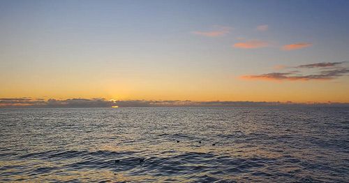 We are super excited to be out with @faroutocean on a miltiday offshore survey! We'll be surveying for all types of marine me...