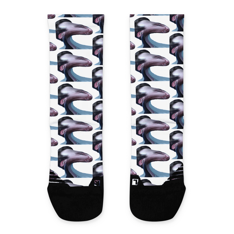 Rat Boy Socks product image (1)