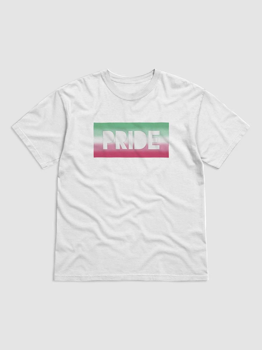 Abrosexual Pride On Display - T-Shirt product image (1)