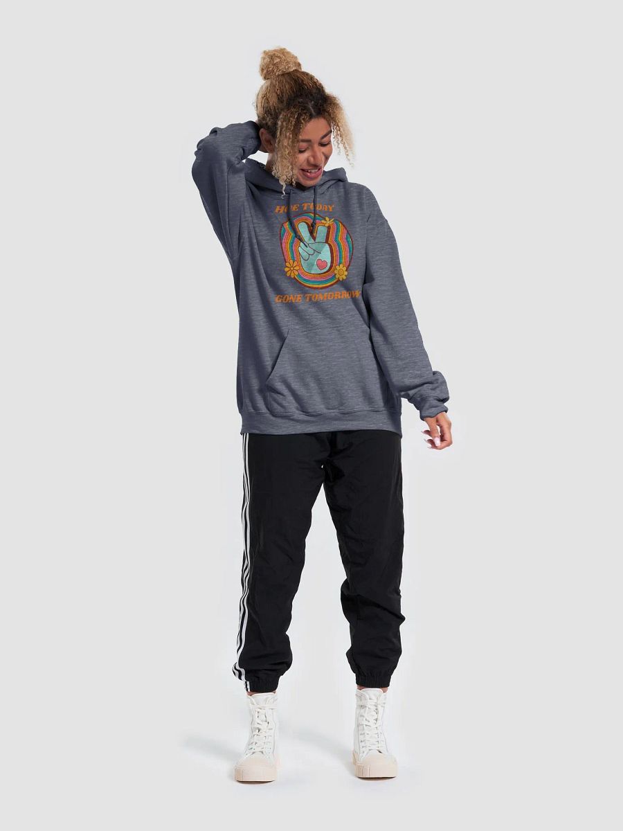 Hoe Today Hoodie product image (3)
