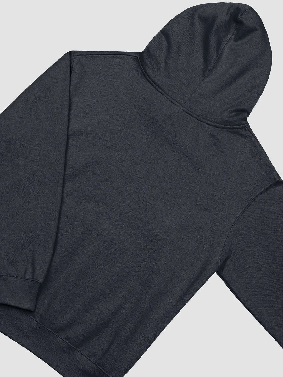 take me to your leader hoodie product image (7)