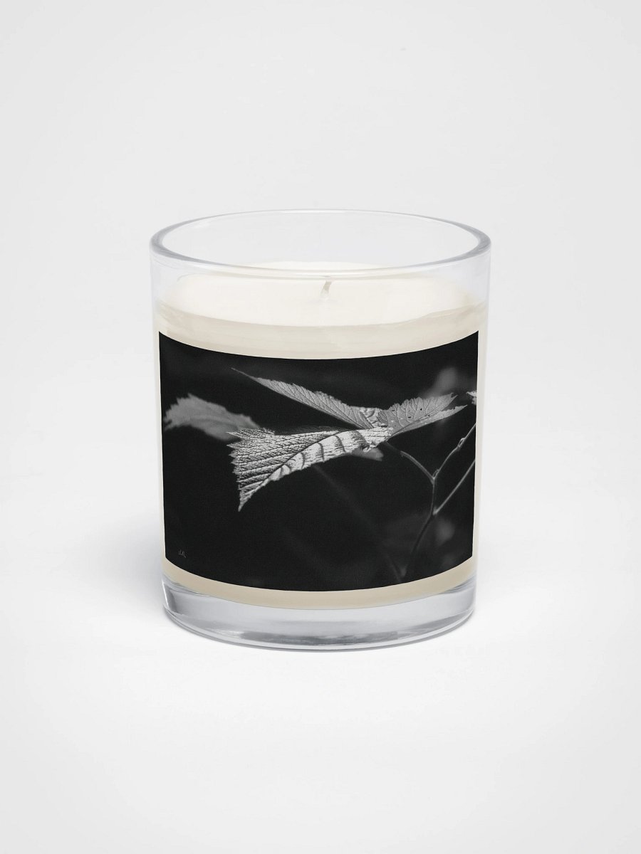 Sunlight on a Salmonberry Leaf Soy Wax Candle product image (1)