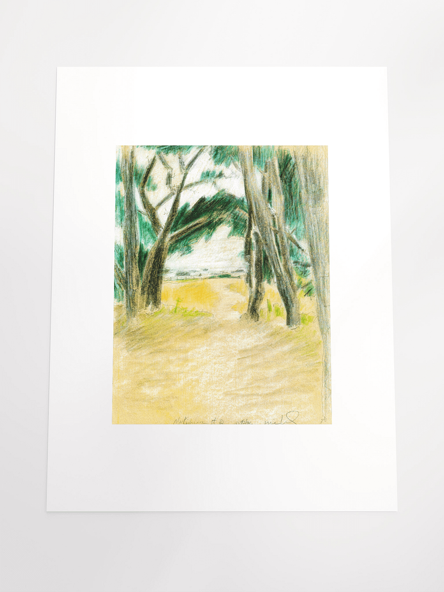 Mackerricher State Park, CA 09.02.86 print product image (5)