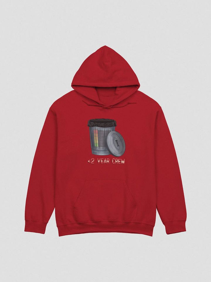 Less Than 2 Year Bin 'Em Hoodie product image (1)