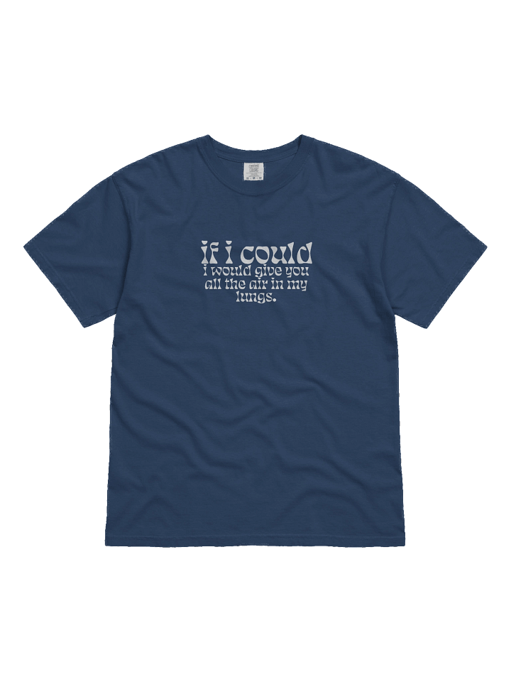 If I Could Lyric Tee Mk II product image (1)