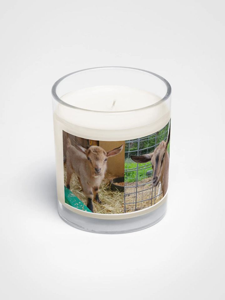 Double Kiwi candle product image (2)