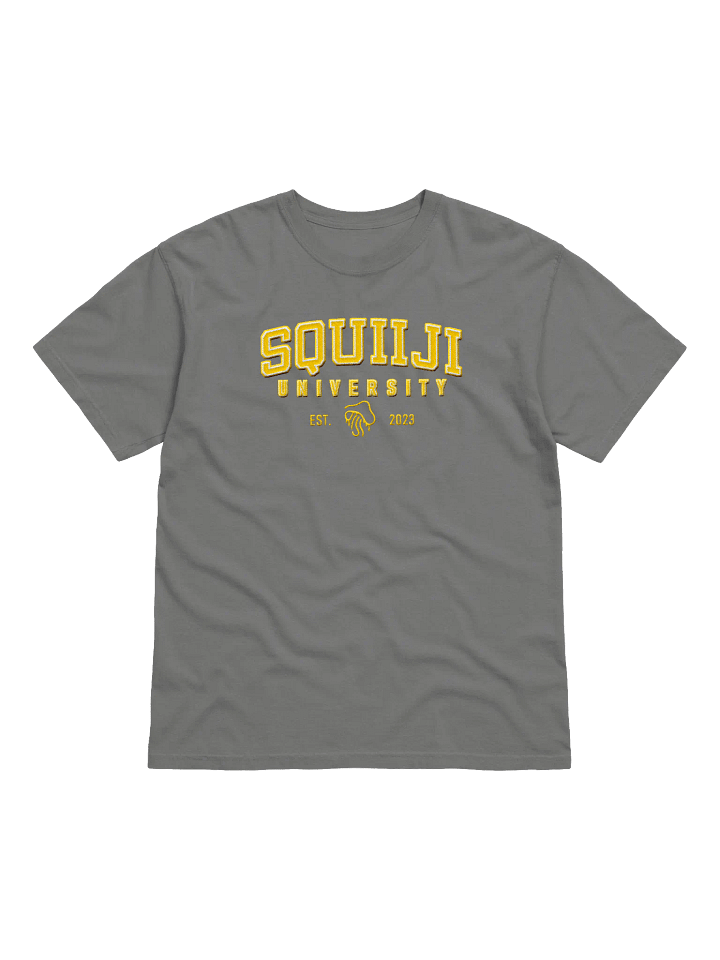 Squiiji University Embroidered Tee product image (6)
