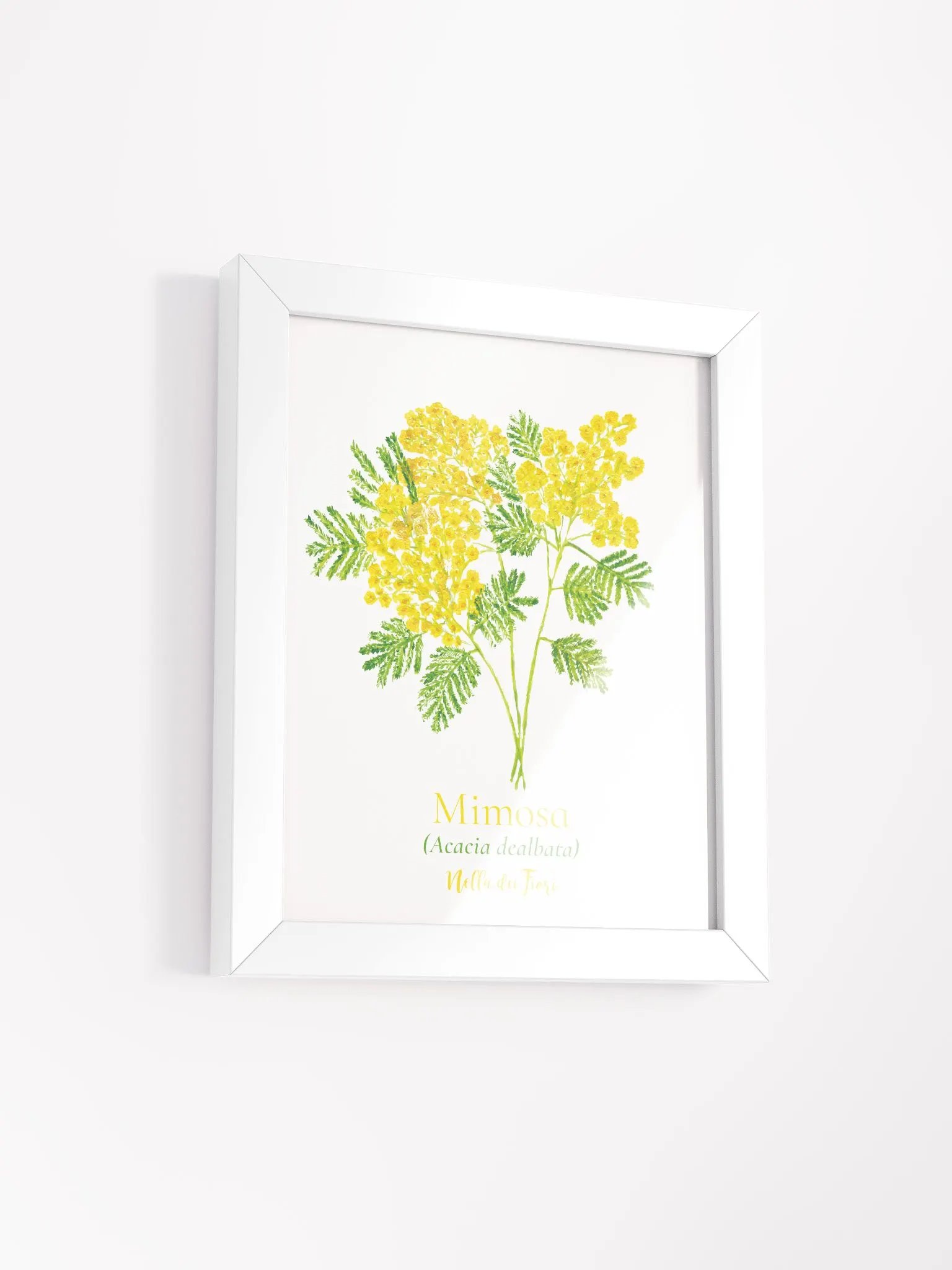 Mimosa Botanicus Frame product image (6)