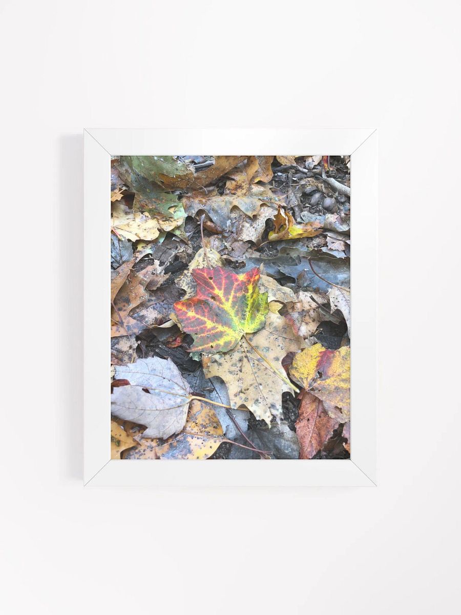 Natural Fall Leaf High Quality Matte Poster product image (4)