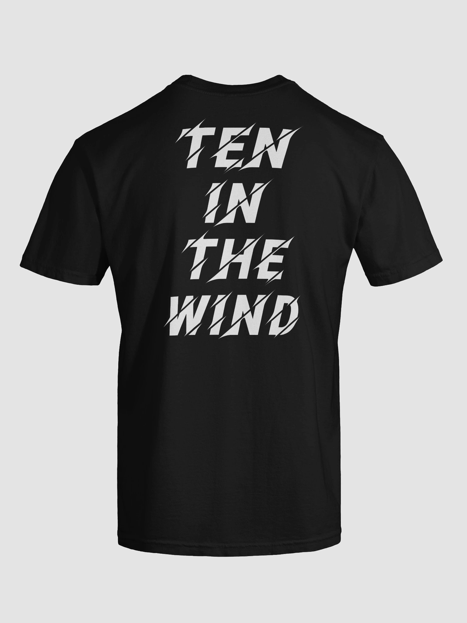 TEN IN THE WIND Show Tee product image (1)