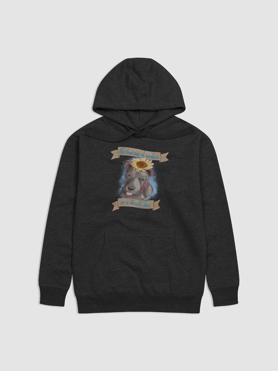 Sunshine pullover hoodie product image (1)