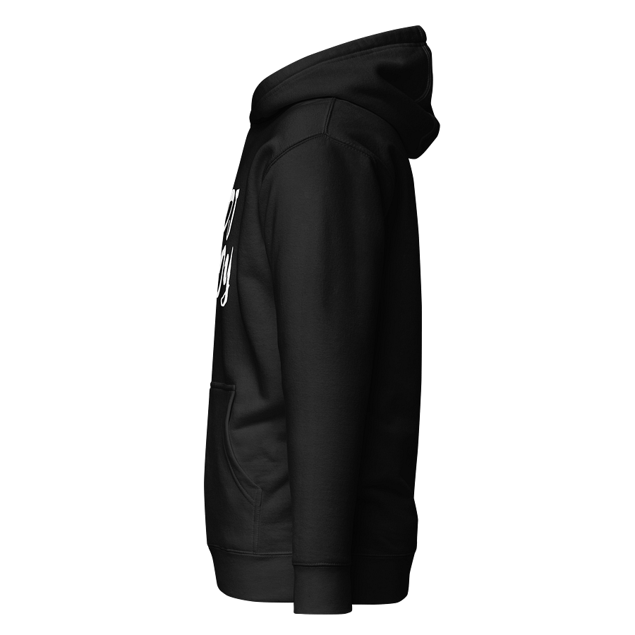 DJ Moy OG Logo - Premium Hoodie product image (18)