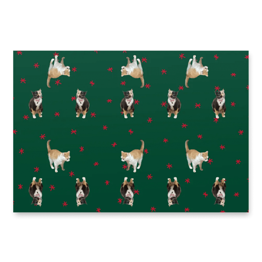 Lyra/Thurston Collab Christmas Wrapping Paper product image (4)