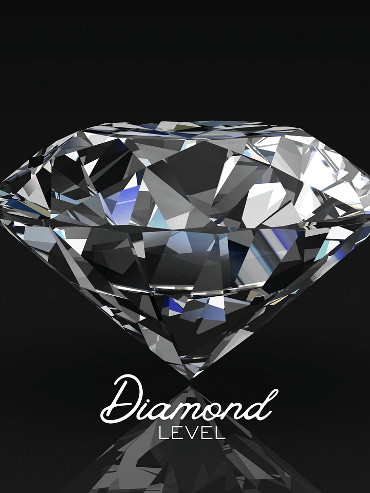 Diamond Level - Sponsorship product image (1)