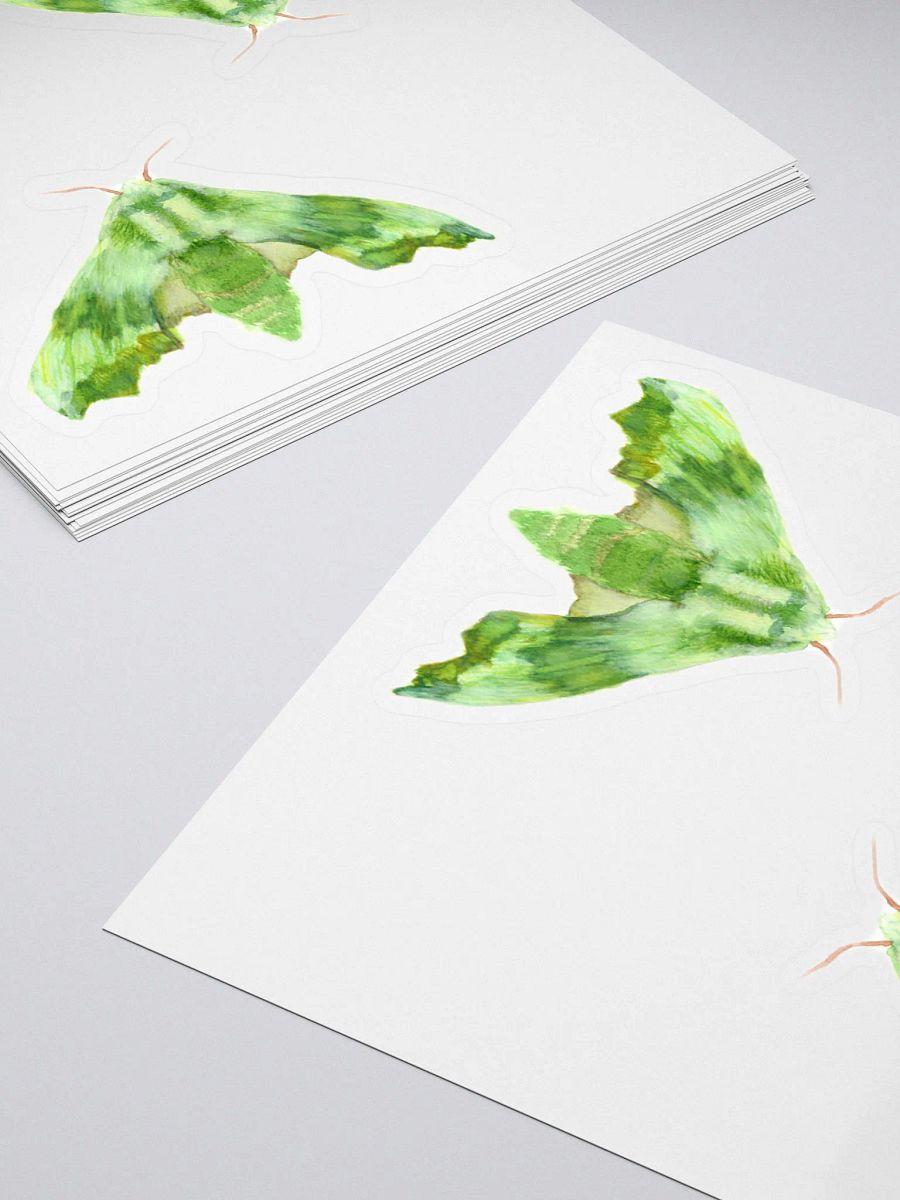 Lime Hawk Moth Sicker (x2) product image (4)