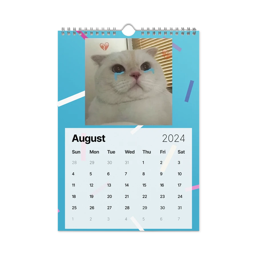 Wall Calendar (2024): Meme Cats product image (4)