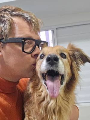 ma chienne chica vient de mourir à 14 ans tumeur au cerveau, c'est 10 ans de ma vie qui part qui s'en va. elle a pris le train, moi je reste à quai. j'ai acheté mes ranger, mon appartement, visité des plantations avec. Aujourd'hui je me sens seule, mon fidèle compagnon est mort. 