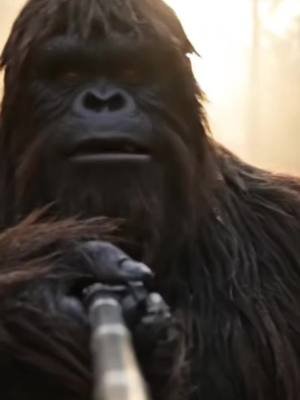 Bigfoot asking for help. #bigfoot #bigfootvlog #bigfootai #bigfootspotted #yeti 